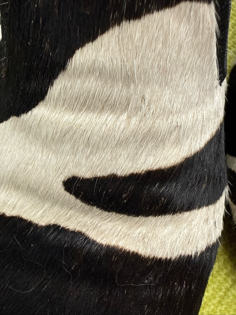 COACH Black & White Zebra Print Loafers - Picture 2 of 4